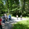 Romantische Mühlen im Schwäbischen Wald